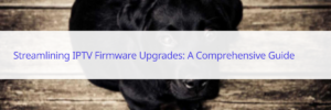 iptv firmware upgrade
